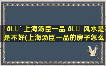 🌴 上海汤臣一品 🐠 风水是不是不好(上海汤臣一品的房子怎么样)